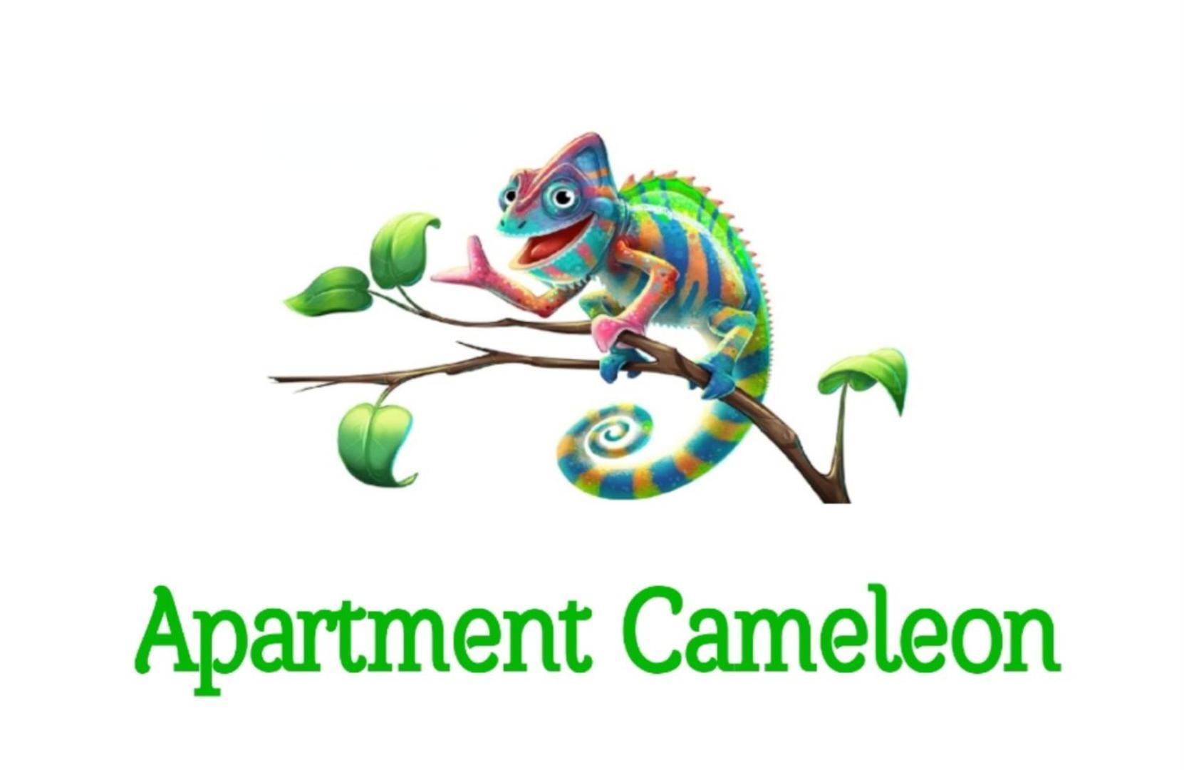 Apartment Cameleon Дубровник Екстер'єр фото